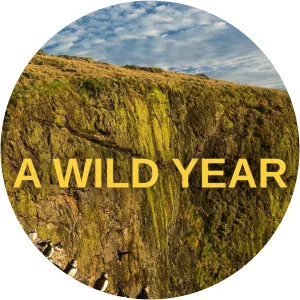 A Wild YearSince 2020
