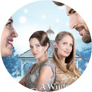 A Winter Wedding - 2017 ‧ 1h 30m