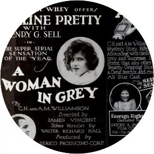 A Woman in Grey