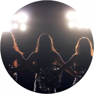 A Woman'S Work: The Nfl'S Cheerleader . . .