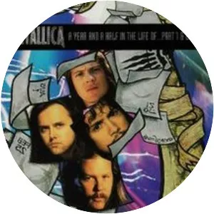 A Year and a Half in the Life of Metallica