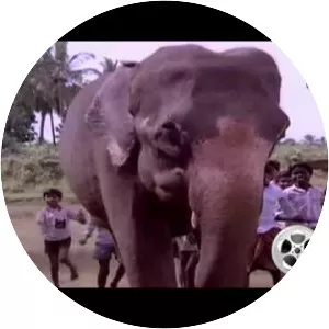 Aanachandam - 2006 ‧ Drama/World cinema ‧ 2h 17m