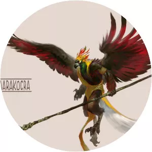 Aarakocra - 
