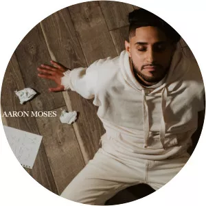 Aaron Moses - Musical artist