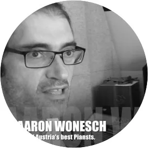 Aaron Wonesch Musician