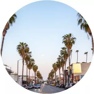 Abbot Kinney Boulevard - 