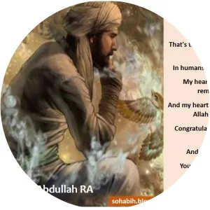 Abd Allah ibn Abi Bakr