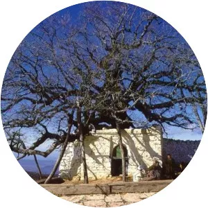 Abd asSalam ibn Mashish alAlami