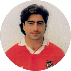 herman torres abel silva