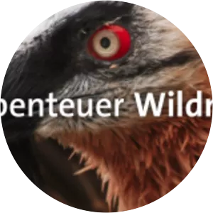 Abenteuer WildnisSince 1988