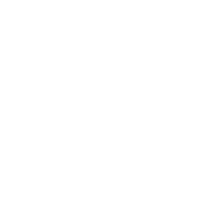 Aber das Leben lebt - Musical group