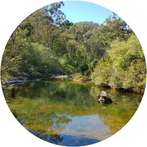 Aberfeldy River - River in Australia
