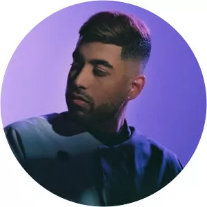 Abhir Hathi - Musical artist