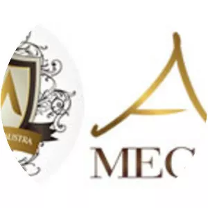 Abi Megaplus - Musical artist