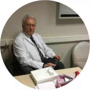 Abidin Kumbasar - Nergis Kumbasar's father