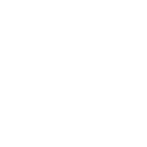 Abolish the Welsh Assembly Party