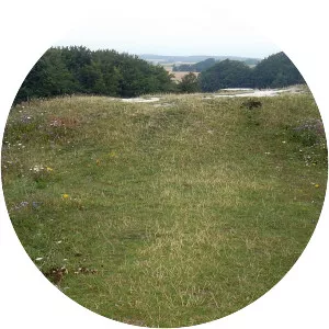 Aborrebjerg - Hill in Denmark