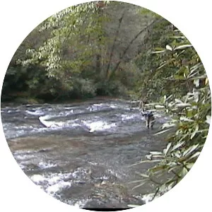 Abrams Creek - Creek in Tennessee