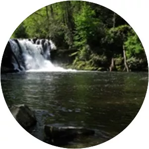 Abrams Falls Trail - 