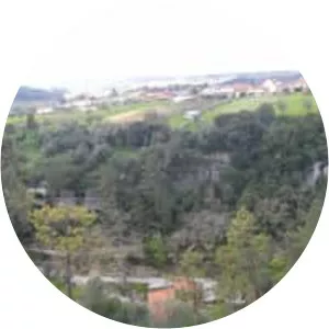 Abrigo do Lagar Velho