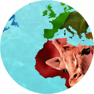 Absurd PlanetSince 2020