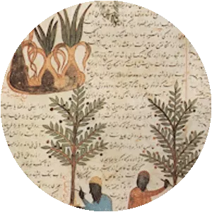 Abu Hanifa Dinawari - Persian polymath