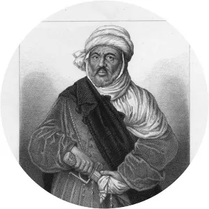Abu'l-Hasan Ali of Granada