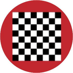 Abu Yusuf Yaqub al-Mansur - Commander