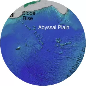 Abyssal plain - 