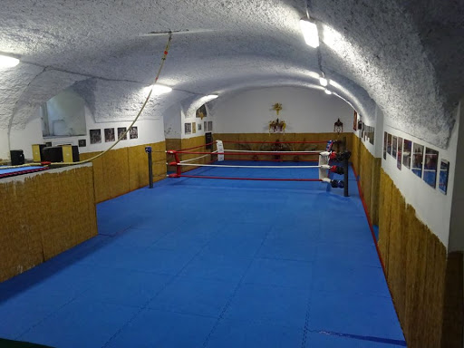 ACDO Sifu Paolo Cangelosi - Kung fu school in Genoa, Italy