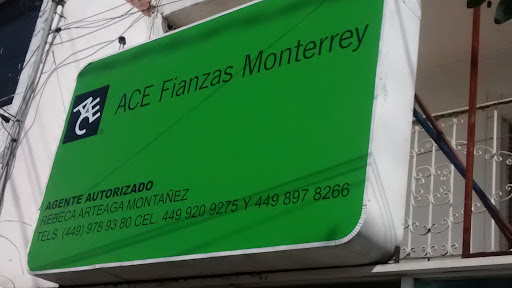ACE Fianzas Monterrey - Life insurance agency in Aguascalientes, Mexico