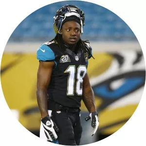 Ace Sanders - American football wide receiver