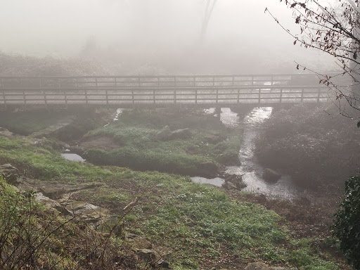 Acea do Rei Chiquito