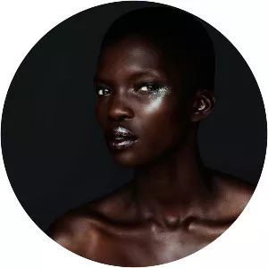 Achok Majak - American model
