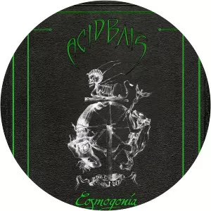 Acid Bats - Musical group