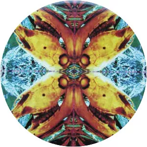 Acid Horse - Musical band