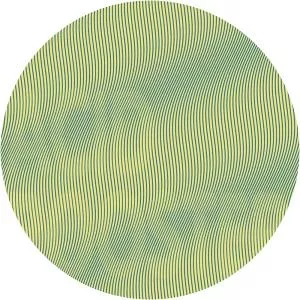 Acid Rooster - Musical group