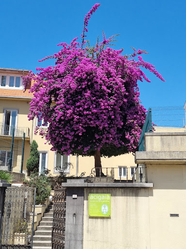 ACIGAIA - Ass. Com. Ind. de Gaia - Association / Organization