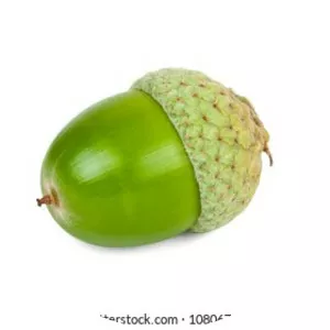 Acorn Green - Comic book series