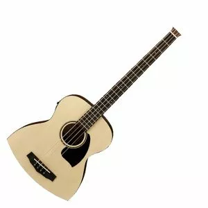 Acoustic bass guitar