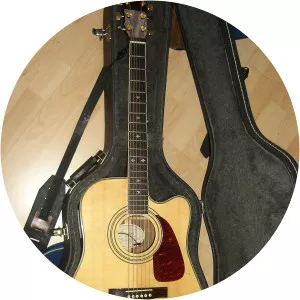 Acoustic-electric guitar - Musical instrument