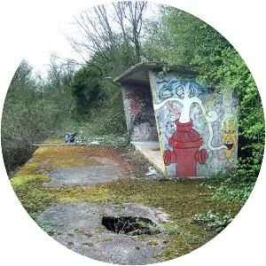 Acrow Halt railway station