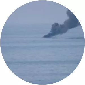 Action of 28 October 2007