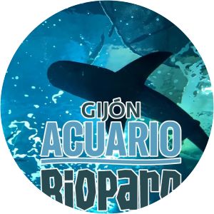 Acuario de Gijón
