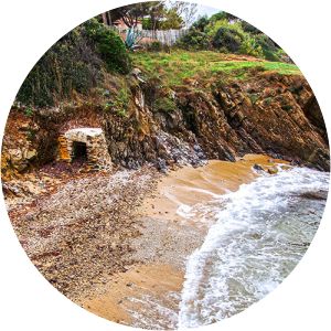 Adalaicia photograph