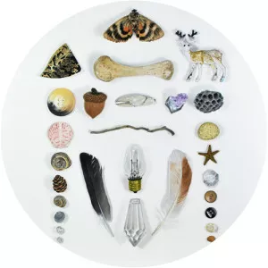 adam and the amethysts - Rock band