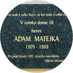 Adam Matejka - Actor