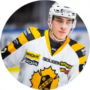 Adam Wilsby - Ice hockey player