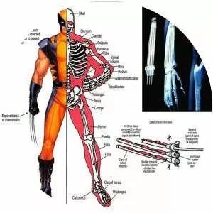 Adamantium - Fictional object