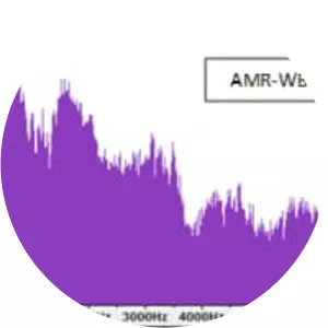 Adaptive Multi-Rate audio codec - File format